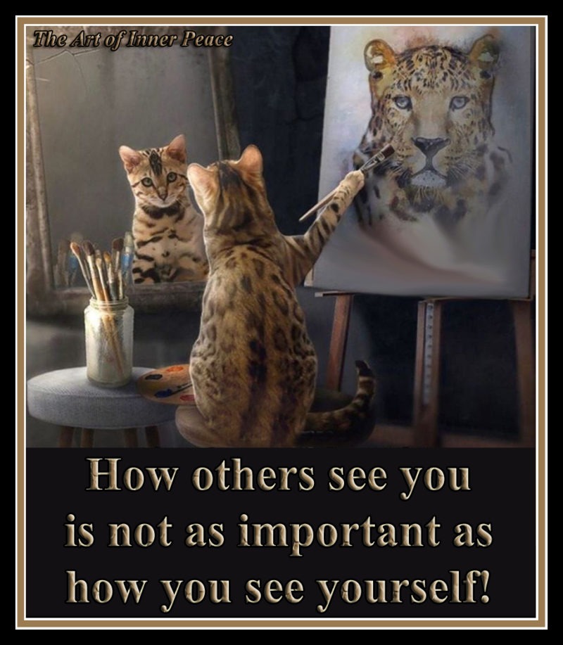 How others see you is not as important as how you see yourself. Bohdi Sanders