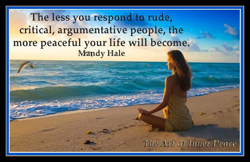 The less you respond to rude, critical, argumentative people, the more peaceful your life will become. Mandy Hale