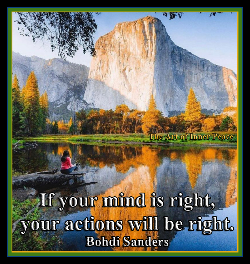 Bohdi Sanders Quotes